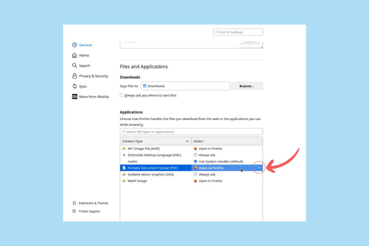 Probleme la vizualizarea documentelor în Firefox - pasul 4